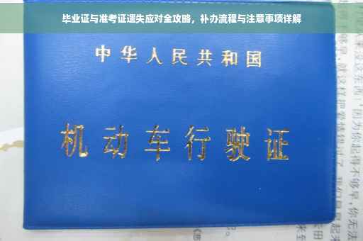 毕业证与准考证遗失应对全攻略，补办流程与注意事项详解