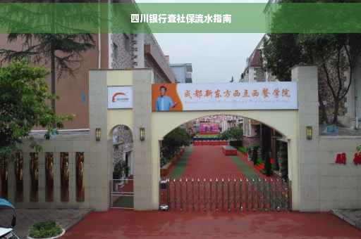 四川银行查社保流水指南