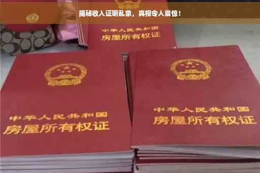 揭秘收入证明乱象，真相令人震惊！
