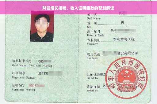 财富增长揭秘，收入证明函数的智慧解读