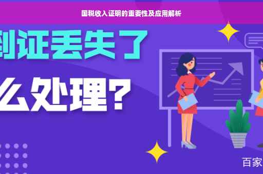 国税收入证明的重要性及应用解析
