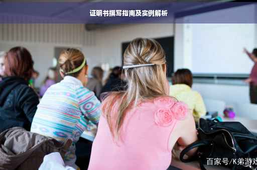证明书撰写指南及实例解析