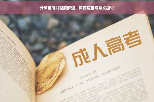 分级证明书深度解读，教育应用与意义探讨