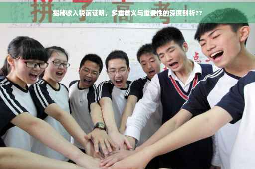 揭秘收入税前证明，多重意义与重要性的深度剖析??