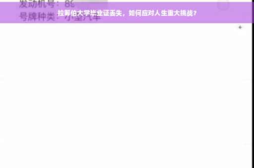 拉筹伯大学毕业证丢失，如何应对人生重大挑战？