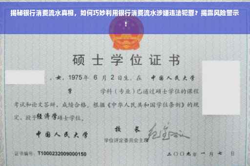 揭秘银行消费流水真相，如何巧妙利用银行消费流水涉嫌违法犯罪？揭露风险警示！