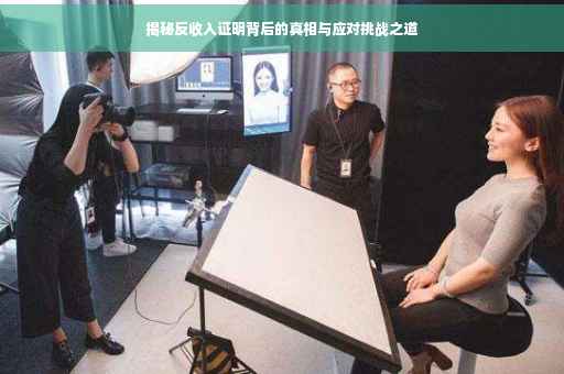 揭秘反收入证明背后的真相与应对挑战之道