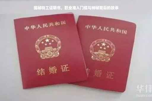 揭秘特工证明书，职业准入门槛与神秘背后的故事