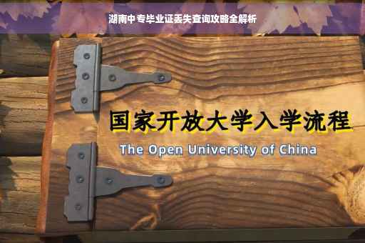 湖南中专毕业证丢失查询攻略全解析