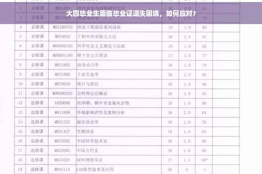 大四毕业生面临毕业证遗失困境，如何应对？