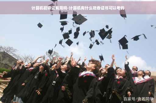 计算机初级证有用吗-计算机有什么吃香证书可以考的