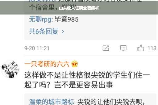 山东收入证明全面解析