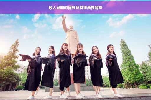 收入证明的用处及其重要性解析