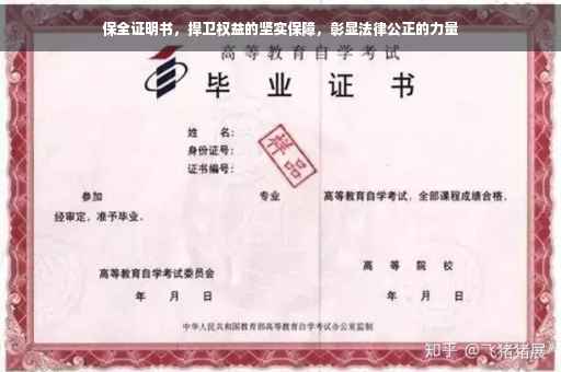 保全证明书，捍卫权益的坚实保障，彰显法律公正的力量