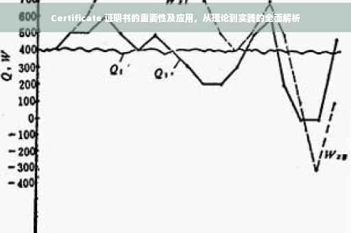Certificate 证明书的重要性及应用，从理论到实践的全面解析