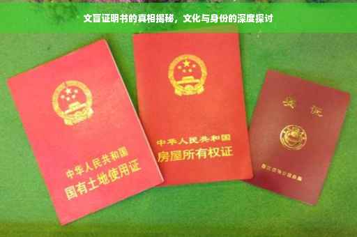 文盲证明书的真相揭秘，文化与身份的深度探讨
