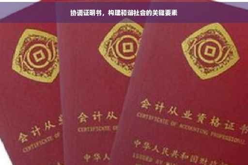 协调证明书，构建和谐社会的关键要素