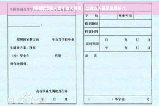 揭秘职场新人首年收入真相，毕业收入证明全解析?✨