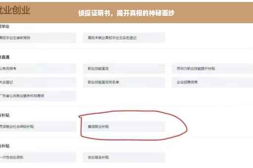 侦探证明书，揭开真相的神秘面纱