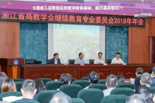 卡里收入证明背后的数字故事揭秘，揭示真实情况??