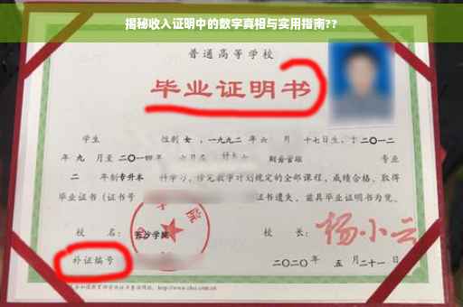揭秘收入证明中的数字真相与实用指南??
