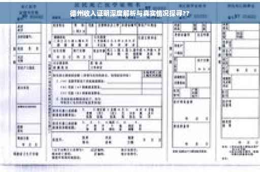 德州收入证明深度解析与真实情况探寻??