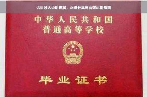 诉讼收入证明详解，正确开具与高效运用指南