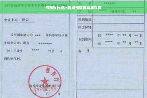 招商银行流水说明模板详解与指南