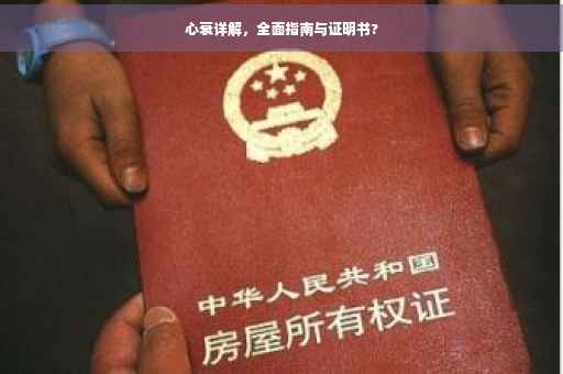 心衰详解，全面指南与证明书?