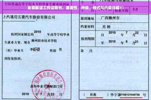 全面解读工件证明书，重要性、种类、格式与内容详解?✨