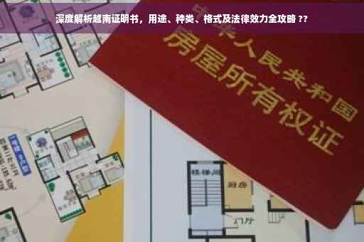 深度解析越南证明书，用途、种类、格式及法律效力全攻略 ??