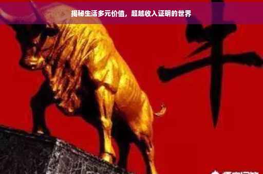 揭秘生活多元价值，超越收入证明的世界