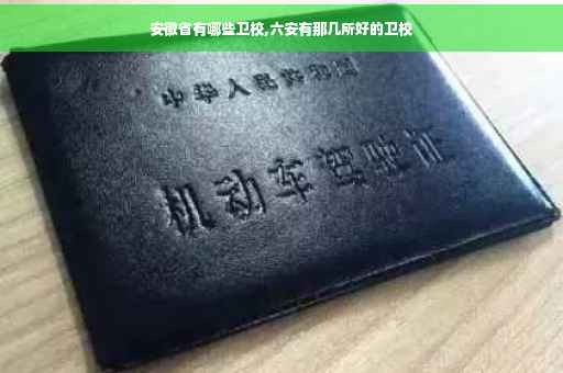 安徽省有哪些卫校,六安有那几所好的卫校