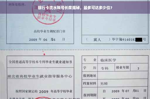 银行卡流水账号长度揭秘，最多可达多少位？
