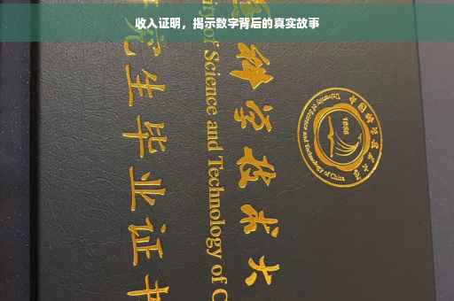 收入证明，揭示数字背后的真实故事