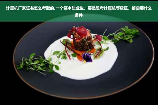 计算机厂家证书怎么考取的,一个高中毕业生，要是想考计算机等级证，都需要什么条件