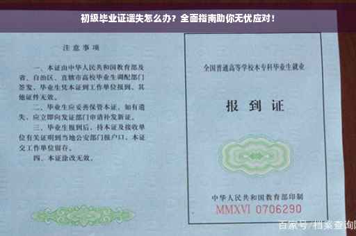 初级毕业证遗失怎么办？全面指南助你无忧应对！
