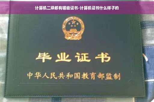 计算机二级都有哪些证书-计算机证书什么样子的