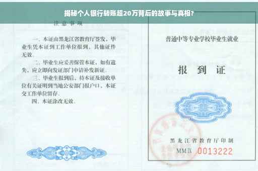 揭秘个人银行转账超20万背后的故事与真相?