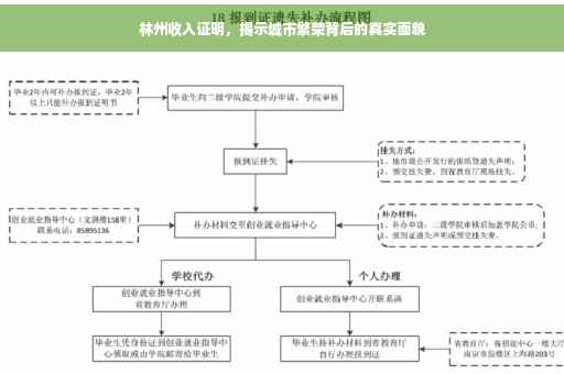 林州收入证明，揭示城市繁荣背后的真实面貌