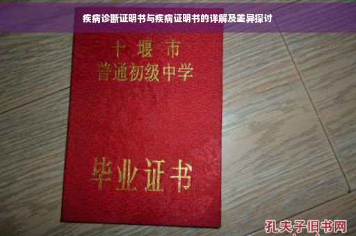 疾病诊断证明书与疾病证明书的详解及差异探讨