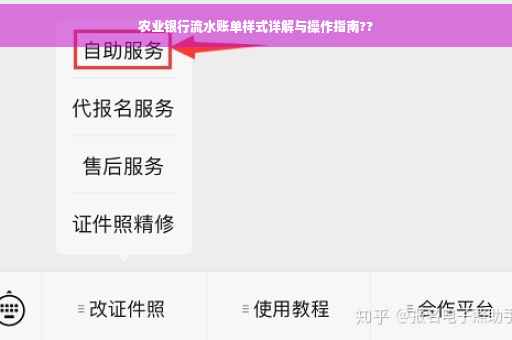 农业银行流水账单样式详解与操作指南??