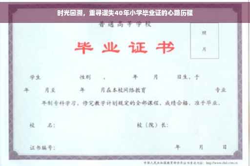 时光回溯，重寻遗失40年小学毕业证的心路历程