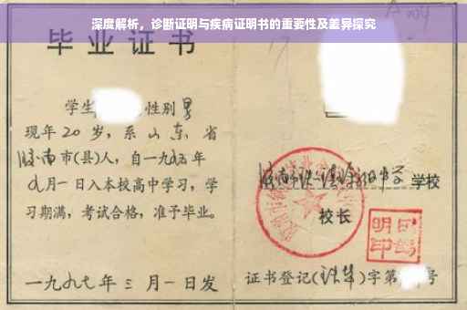 深度解析，诊断证明与疾病证明书的重要性及差异探究