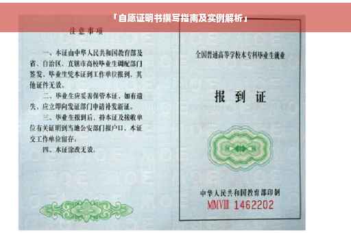 「自愿证明书撰写指南及实例解析」