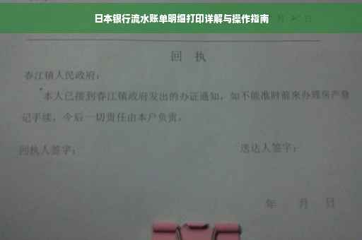 日本银行流水账单明细打印详解与操作指南