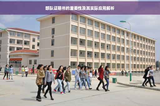 部队证明书的重要性及其实际应用解析