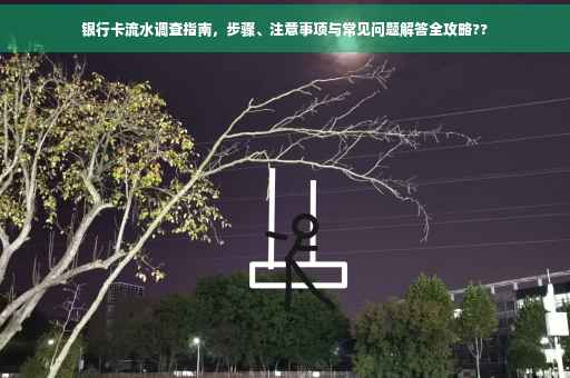 银行卡流水调查指南，步骤、注意事项与常见问题解答全攻略??
