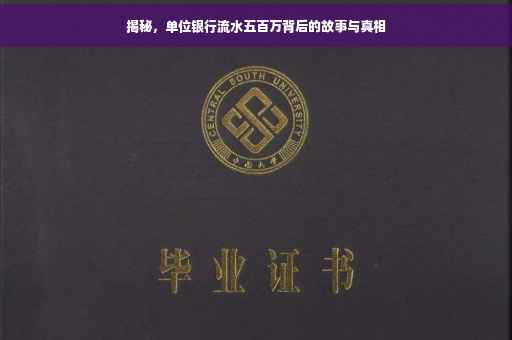 揭秘，单位银行流水五百万背后的故事与真相