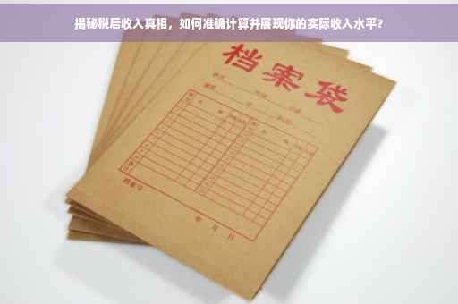 揭秘税后收入真相，如何准确计算并展现你的实际收入水平？